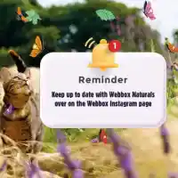 Don't forget to come and follow our  page to stay up to date with everything Webbox Naturals 🐾Are you following already?...