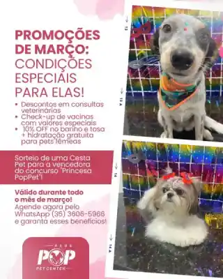 Março chegou com benefícios exclusivos para as peludinhas! 🐾💖Aproveite valores especiais em atendimentos, cuidados preve...